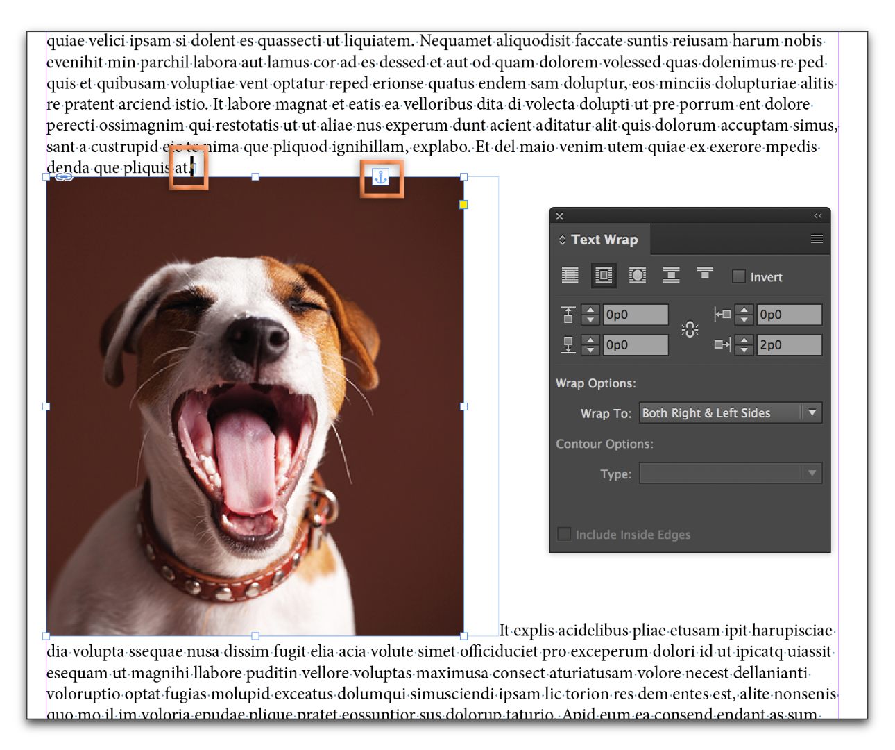 InDesign CCss_004.png